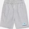 QUIKSILVER Regular Sportshorts 'EASY DAY' 1 QUIKSILVER Regular Sportshorts 'EASY DAY' -Khujo Verkäufe 1893d9e9f064dcf8c32d662bab13401c
