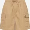 QUIKSILVER Regular Shorts 'TAXER' -Khujo Verkäufe 38476abf9ef0381ffde06707b1c9f253