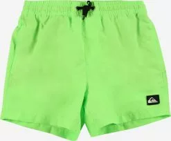 QUIKSILVER Badeshorts 'EVERYDAY VOLLEY YOUTH 13'