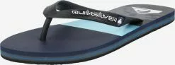 QUIKSILVER Zehentrenner 'Molokai'